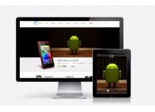 浦东新区多城市站群网站推广